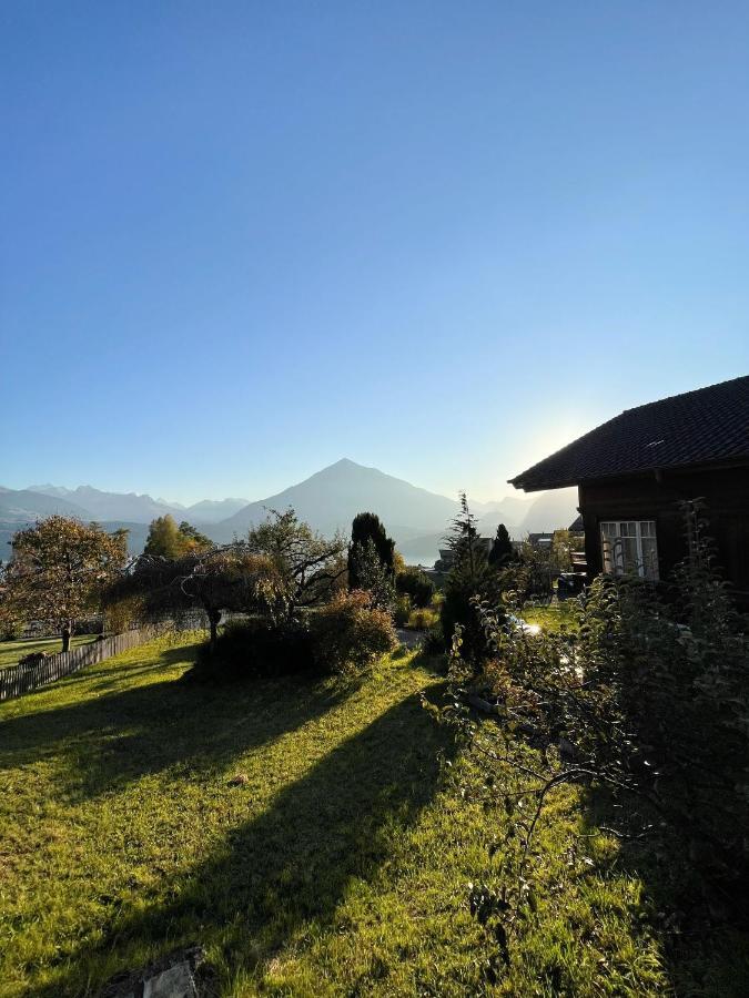 Chalet Edelweiss Зигрисвиль Экстерьер фото